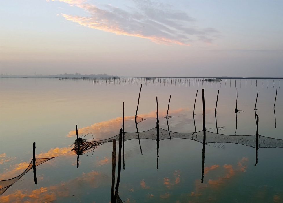 thumb__1200_0_0_0_auto